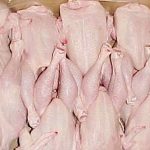 Frozen-Chicken